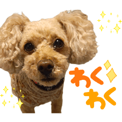 cocoaな毎日♡パート8