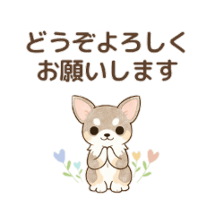 まろ眉チワワ。【毎日使える丁寧語】