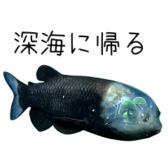 げんきな深海魚★