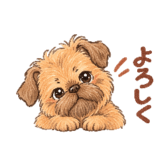 手描き風｜ブリュッセルグリフォン｜日常①