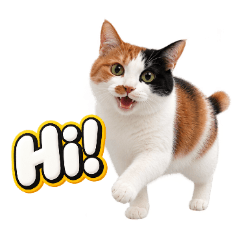 表情豊かな三毛猫の日常スタンプ