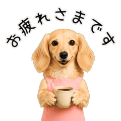 【ダックスのココ】動く♪やさしい敬語