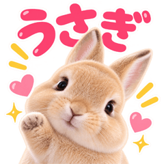 とびだす★うさぎ★ネザーランドドワーフ
