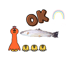 鮭、コイのなかまの魚たち