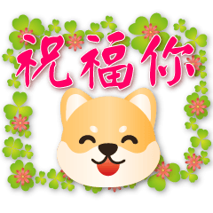 Cute Shiba --super practical greeting