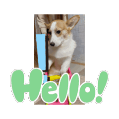 うごく！？ぽぽぽてとちっぷすTᗩᗰᑭ