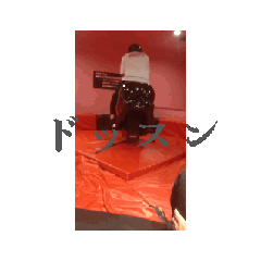 そんな事もできるのね