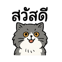 Moobin_20250607200619