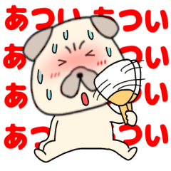 【夏】パグ犬のぱーちゃん84