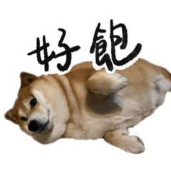 Oishiso_20250726224742