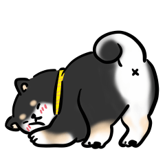 しばまるまる-くろしばのにちじょう