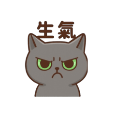 OBB Trio_20251122151401