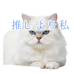 白猫様の推し活への冷ややかツッコミ