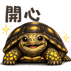 Yellow Tortoise Slow Life
