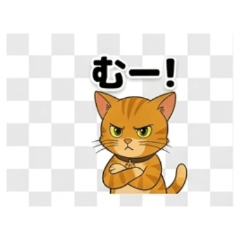 茶虎の猫｜毎日つかえるひとことスタンプ