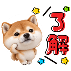 ず～っと使える♡柴犬のカラフルポップ