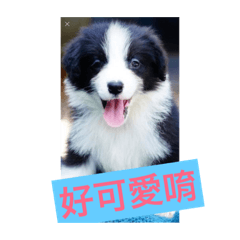 Fiona_20190529234618