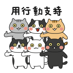 Mix Cats (Pibo)