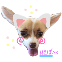 Khunnoo_20190825015123