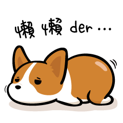 Corgi Kaka - Daily life