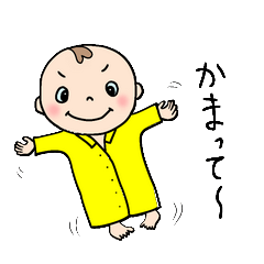 甘えん坊の「ぼくを構って！」