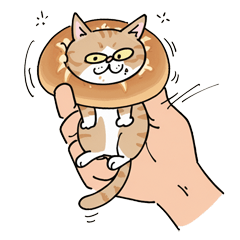 Palm Cats - Daily Foods Fullness