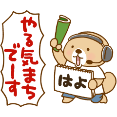 動け！突撃！ラッコさん 頑張らない編