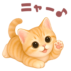 ニャンコ❤️ニャンコ