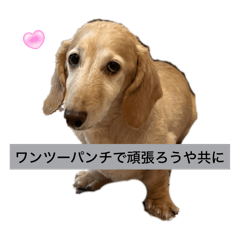 かいくん第二弾