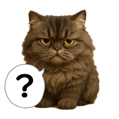 A Cat is name Money with one face.