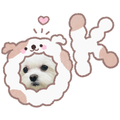 YuXuan_20260316131759