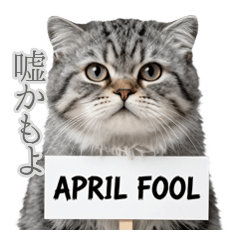 真顔で嘘をつくマヌルネコ