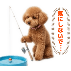 トイプードルプリティ10