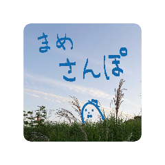 まめちゃんさんぽ