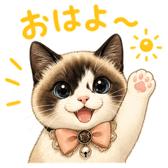 こねこのミモザ