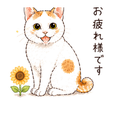 Kagishippo Cat Summer Stickers