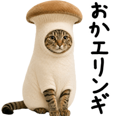 キジトラ猫飼いさんのダジャレ
