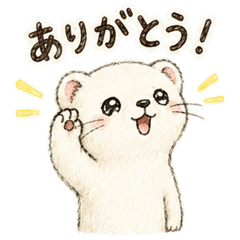 オコジョの毎日ありがとう。