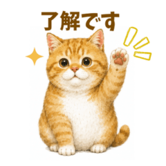 ぽっちゃり茶トラ猫：毎日のひととき