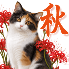 日本猫と彼岸花 秋に毎日使えるBIGスタンプ
