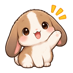 Lop Rabbit Soft Chat