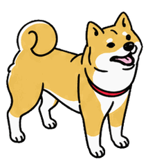 激しく動く柴犬