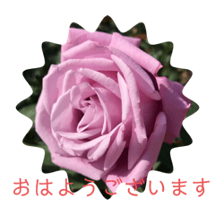 お花のスタンプ〜薔薇