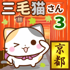 京都の三毛猫さん3