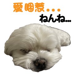 Puppy language BY Mibow