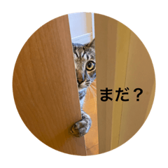 猫のまるのスタンプ