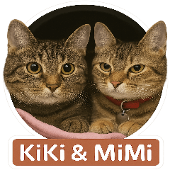 KiKi & MiMi's Daily Life