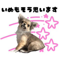 ちくわの好き放題スタンプ