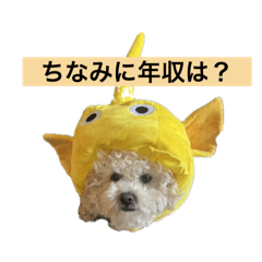 わふわふわふふのふ