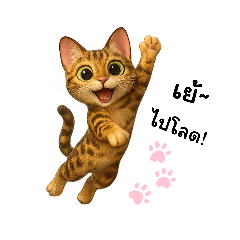 This Cat is All About Cute!